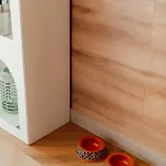 Prázdninový areál Nowoczesne Na Drzewie - Jacuzzi - Kolobrzeg - Sauna - Polanaglamp