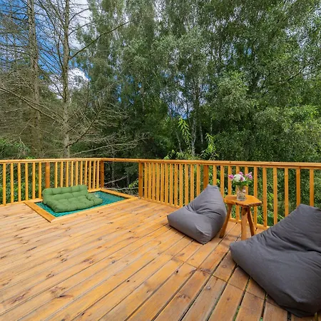 Nowoczesne Na Drzewie - Kolobrzeg - Sauna - Polanaglamp Village de vacances *