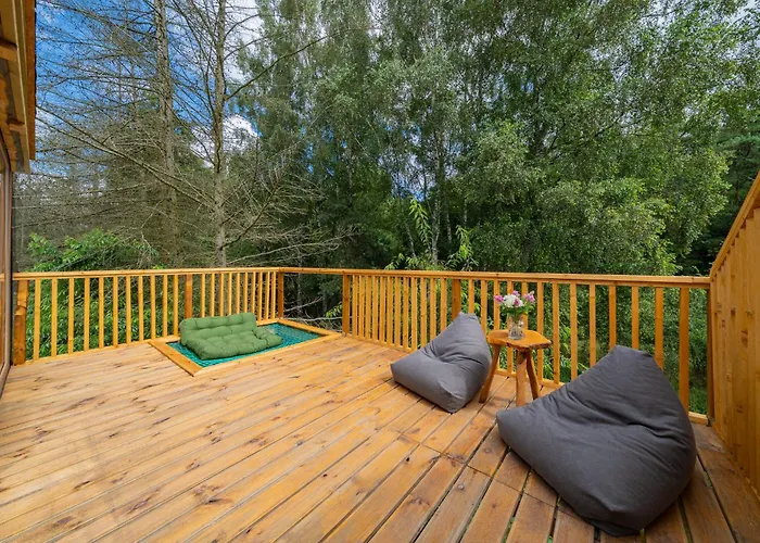 Nowoczesne Na Drzewie - Jacuzzi - Kolobrzeg - Sauna - Polanaglamp Holiday park *