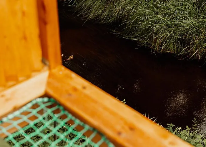 Holiday park Nowoczesne Na Drzewie - Jacuzzi - Kolobrzeg - Sauna - Polanaglamp