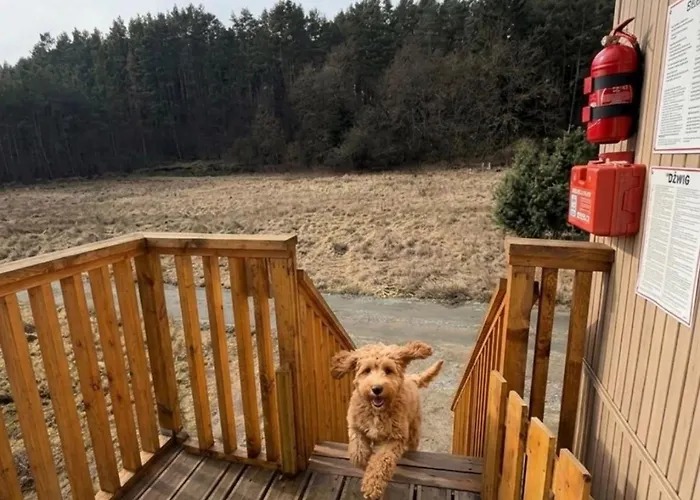 Nowoczesne Na Drzewie - Jacuzzi - Kolobrzeg - Sauna - Polanaglamp Holiday park *