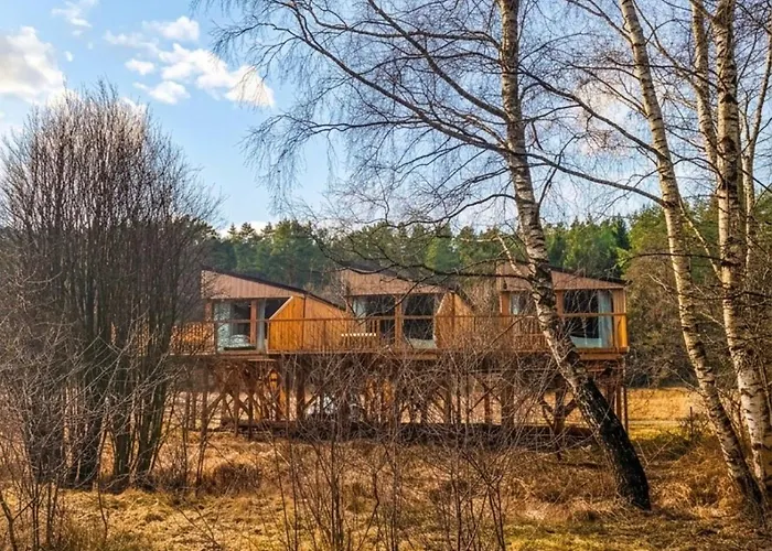 Holiday park Nowoczesne Na Drzewie - Jacuzzi - Kolobrzeg - Sauna - Polanaglamp Niezyn