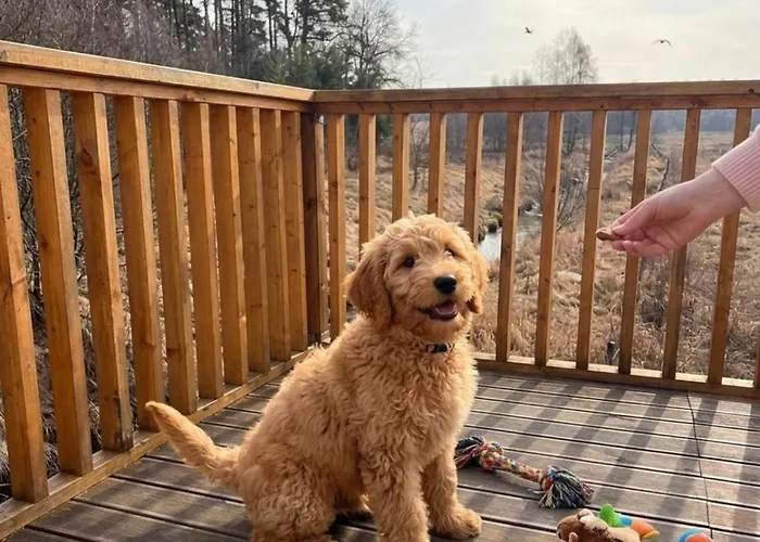 Nowoczesne Na Drzewie - Jacuzzi - Kolobrzeg - Sauna - Polanaglamp Holiday park